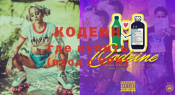 гашик Арсеньев