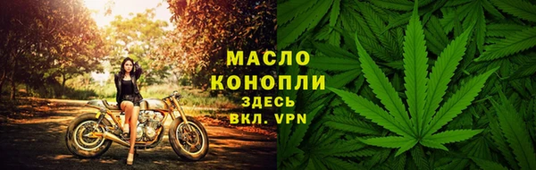 гашик Арсеньев