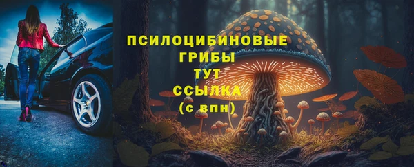 гашик Арсеньев